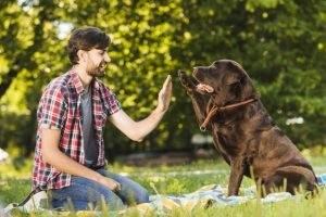 Joven chocando la mano con su perro