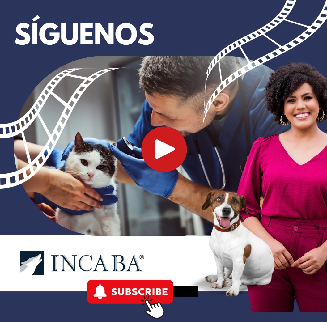 Síguenos en las redes y canal de INCABA